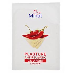 MINUT PLASTURI ANTIREUMATICI CU ARDEI 12/18CM 24BUC Helpnet.ro imagine 2022