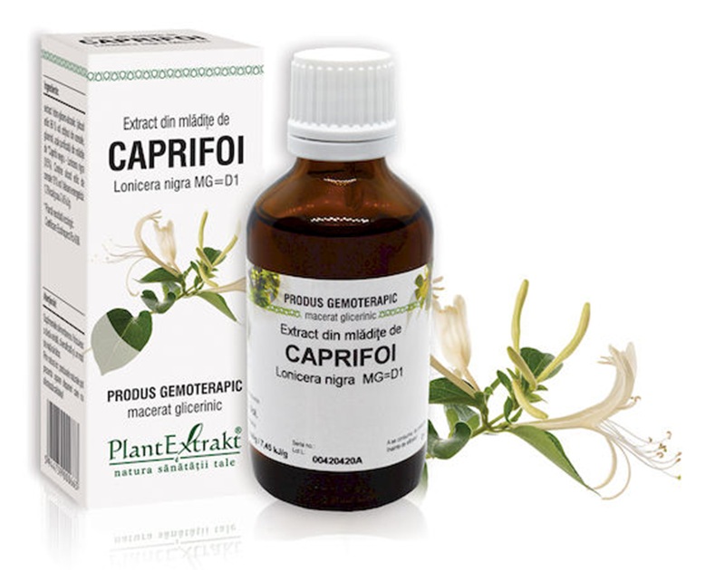 EXTRACT MLADITE DE CAPRIFOI 50ML